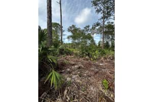 53 SLEEPY HOLLOW TRAIL, PALM COAST, FL 32164 Sold 03/11/25