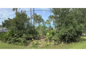 53 SLEEPY HOLLOW TRAIL, PALM COAST, FL 32164 Sold 03/11/25