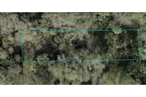 SHERMAN ST, BUNNELL, FL 32110 - MLS#MFRFC305111