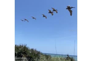 119 BARRIER ISLE DRIVE, ORMOND BEACH, FL 32176 Sold 01/09/25