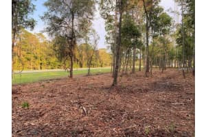 53XX US HWY 1 N, BUNNELL, FL 32110 - MLS#MFRFC305280