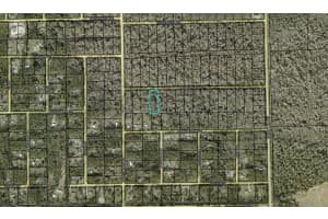 3853 APPLE AVENUE, BUNNELL, FL 32110 Sold 08/26/25