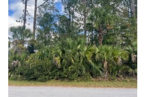 11 PINELARK LANE, PALM COAST, FL 32164 Sold 04/10/25