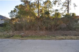 34 LEWIS DRIVE, PALM COAST, FL 32137 Sold 01/06/25