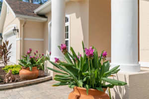 116 ERIC DRIVE, PALM COAST, FL 32164 Sold 06/03/25