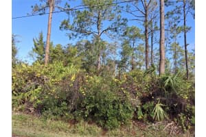 103 WHEATFIELD DRIVE, PALM COAST, FL 32164 - MLS#MFRFC305841