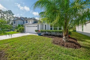 83 LOB WEDGE LANE, BUNNELL, FL 32110 Sold 02/21/25