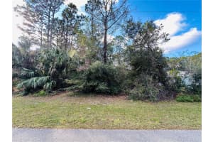 29 PROVIDENCE LANE, PALM COAST, FL 32164 Sold 03/13/25
