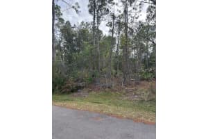 34 KATHLEEN TRAIL, PALM COAST, FL 32164 Sold 01/27/25