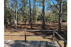 2929 PALMETTO STREET, BUNNELL, FL 32110 Sold 02/06/25