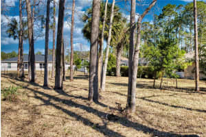 32 WOOD HAVEN DRIVE, PALM COAST, FL 32164 Sold 02/26/25