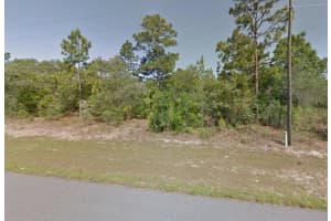 3081 DORONICUM PLACE, DUNNELLON, FL 34433 Sold 02/21/25