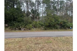 10 UNION RUN COURT, PALM COAST, FL 32164 Sold 03/06/25
