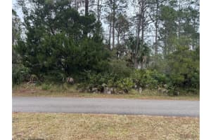 14 UNION RUN COURT, PALM COAST, FL 32164 Sold 03/06/25