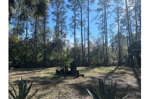 1635 BERRYBUSH STREET, BUNNELL, FL 32110 Sold 06/23/25