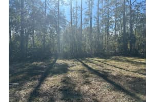 1635 BERRYBUSH STREET, BUNNELL, FL 32110 Sold 06/23/25