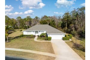 17 LAKESIDE PLACE, PALM COAST, FL 32137 - MLS#MFRFC307055