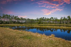 75 HUMMINGBIRD COURT, PALM COAST, FL 32164 Sold 04/11/25
