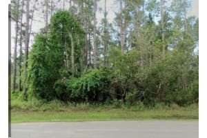55 ROBINSON DRIVE, PALM COAST, FL 32164 - MLS#MFRFC307134