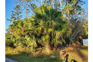 23 PINELAND LANE, PALM COAST, FL 32164 Sold 03/25/25