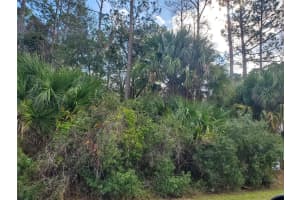 23 PINELAND LANE, PALM COAST, FL 32164 Sold 03/25/25