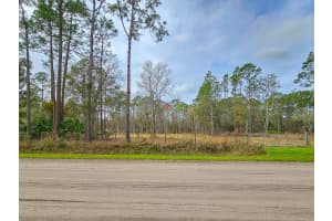 1718 PAPAYA STREET, BUNNELL, FL 32110 Sold 08/01/25