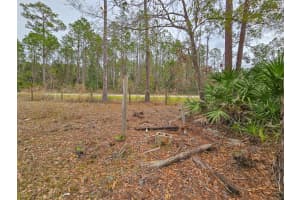 1718 PAPAYA STREET, BUNNELL, FL 32110 Sold 08/01/25