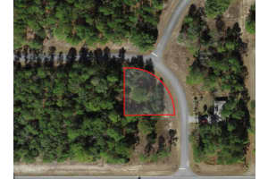 2838 HIGGINS PLACE, CITRUS SPRINGS, FL 34433 Sold 05/21/25