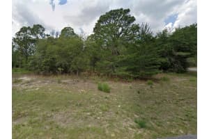 2838 HIGGINS PLACE, CITRUS SPRINGS, FL 34433 Sold 05/21/25