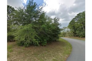 2838 HIGGINS PLACE, CITRUS SPRINGS, FL 34433 Sold 05/21/25