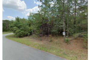 2838 HIGGINS PLACE, CITRUS SPRINGS, FL 34433 Sold 05/21/25