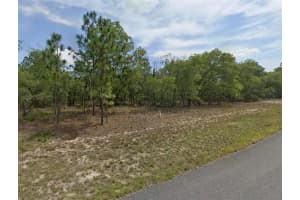 1751 STANTON DRIVE, CITRUS SPRINGS, FL 34434 Sold 05/21/25