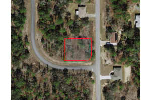 1751 STANTON DRIVE, CITRUS SPRINGS, FL 34434 Sold 05/21/25