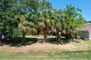 6 CORONA COURT, PALM COAST, FL 32137 - MLS#MFRFC307700
