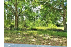 75 BREWSTER LANE, PALM COAST, FL 32137 Sold 04/07/25