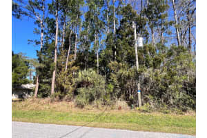 179 ULLIAN TRAIL, PALM COAST, FL 32164 - MLS#MFRFC307814