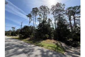 52 RAE DRIVE, PALM COAST, FL 32164 Sold 04/01/25