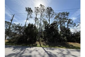 52 RAE DRIVE, PALM COAST, FL 32164 Sold 04/01/25