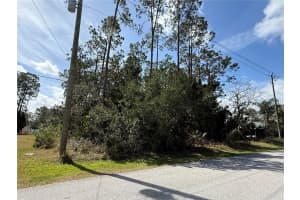 52 RAE DRIVE, PALM COAST, FL 32164 Sold 04/01/25