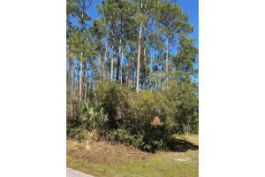 24 BRIGADOON LANE, PALM COAST, FL 32137 - MLS#MFRFC308002