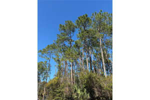 24 BRIGADOON LANE, PALM COAST, FL 32137 - MLS#MFRFC308002