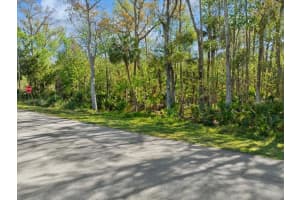 138 BLARE DRIVE, PALM COAST, FL 32137 - MLS#MFRFC308038