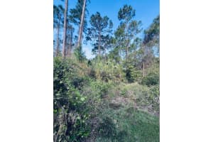 91 EMERALD LAKE DRIVE, PALM COAST, FL 32137 - MLS#MFRFC308405