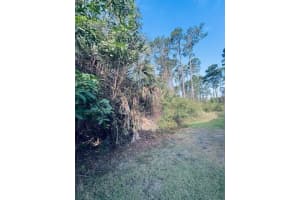 91 EMERALD LAKE DRIVE, PALM COAST, FL 32137 - MLS#MFRFC308405