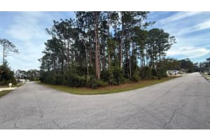 22 REYNOLDS PLACE, PALM COAST, FL 32164 Sold 05/09/25