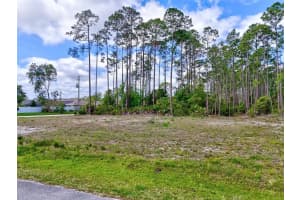 73 EBB TIDE DRIVE, PALM COAST, FL 32164 Sold 04/15/25