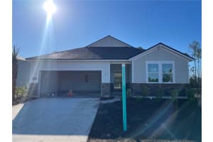 243 Montgomery Ct, PALM COAST