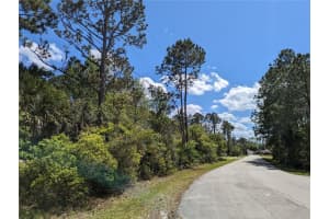 81 PINE HAVEN DR, PALM COAST, FL 32164 - MLS#MFRFC308793