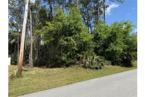 19 WASSERMAN DRIVE, PALM COAST, FL 32164 - MLS#MFRFC308873