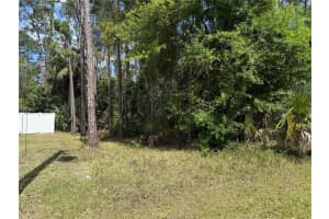 19 WASSERMAN DRIVE, PALM COAST, FL 32164 - MLS#MFRFC308873